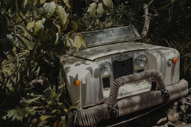 A vintage Land Rover sits abandoned among lush forest plants.