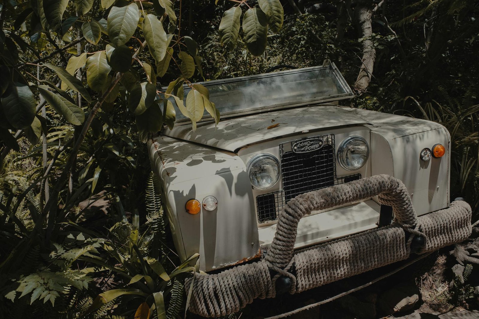 A vintage Land Rover sits abandoned among lush forest plants.